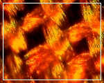 coming soon image